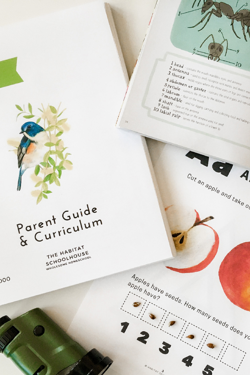 Our Preschool Homeschool Curriculum For 2021 2022 A Beautifully   IMG 2449 1 